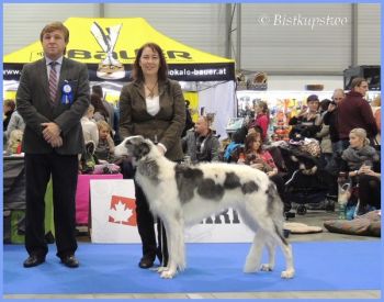 Křídlovka Bistkupstwo